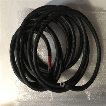 SAE J1127 Battery Wiring Harness Auto Battery Charger Cable Golf Cart Battery Cable